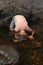 A young boy`s head under water in a brook