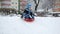 Young boy sleds down a snowy hill, his face lit up with pure joy. The slow-motion effect adds to the sense of wonder, capturing