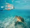 Young boy Snorkel swim with green sea turtle, Egypt