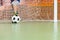 Young boy standing in the soccer goal