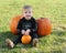 Young boy with three pumpkins