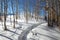 Young boy winter walking in mountains