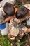 Young boys on a camping investigated nature using magnifying gla