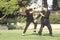 Young boys practicing Karate, Los Angeles, CA