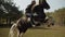 A young brave girl rider on horseback teaches a horse to stand on its hind legs in a country riding school.