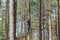 Young brave woman climbing in adventure rope park