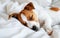 Young Brown and White Puppy Sleeping Peacefully on a Soft White Blanket