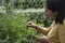 Young brunette woman posing in profile picking some aromatic herbs from a flower bed