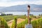 Young brunette woman sitting on a wooden wine barrel in front of a Okanagan vineyard.