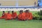 Young Buddhist monks in a garden, Phnom Penh, Cambodia