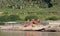 Young Buddhist Monks Sit Along the Mekong River, Laos