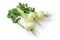 Young bulb onions with parsley twigs on a white background