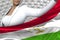 Young business woman holds Tajikistan flag in front on the modern architecture background - flag concept 3d illustration