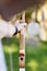 Young Businessman Aiming Arrow At Target Board In Forest