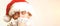 Young businessman in Christmas Hat covered his face with money over white background, copy space. Santa holding up fanned out hand