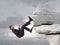 Young businessman scaling a rock