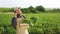 Young, busy farmer standing on field, talking on phone.