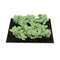 Young Cabbage Plants in the Garden on white. 3D illustration