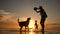 Young carefree girl playing with dogs at the beach during amazing sunset. Koh Phangan, Thailand. HD Slowmotion.