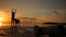 Young Carefree Girl Playing with Dogs at the Beach During Amazing Sunset. Koh Phangan, Thailand. HD Slowmotion.