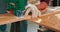 Young carpenter cuts an osb board with a jigsaw Craftsman\'s hands in cloth protective gloves The jigsaw blade cuts