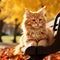 A young cat sitting on a park bench in autumn