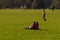 A young caucasian couple is having some leisure time as they sit on the grass and relax in the university park of Oxford Universit