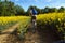 Young caucasian man biking through a field of rapeseeds