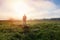 Young caucasian man standing, walking on meadow in misty fog at sunrise. Czech summer landscape