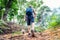 Young caucasian man walking with backpack in woods from back. Bottom view tourist tracking throught the summer forest. Adventure,