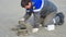 Young Caucasian mason repairs road surface. working man dismantles paving slabs on sidewalk. Video 4k resolution.