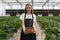 Young caucasian woman in apron tenderly holds box of ripe, red strawberries in the nurturing atmosphere of a lush greenhouse