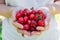 Young Caucasian Woman Girl Holds in Hands Handful of Organic Freshly Picked Sweet Cherries in Garden. Green Grass in Background