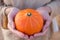 Young Caucasian Woman Holds in Hands Small Round Ripe Vivid Orange Pumpkin. Garden Countryside. Cozy Rural Fall Autumn Atmosphere