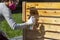 A young caucasian woman wearing face mask safety goggles and gloves is spray staining