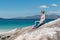 Young Caucassian woman enjoying holiday on a white sandy beach with turquoise water