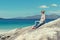 Young Caucassian woman on a white sandy beach in Luskentyre, Isle of Harris, Scotland