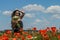 Young charming brunette girl with a bouquet of white field chamomiles on a summer sunny day