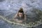 Young charming girl bathes in the healing thermal mineral springs in the resort of Saturnia Italy