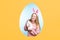 Young cheerful blond woman in bunny headband holding fluffy Easter rabbit