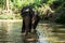 Young cheerful indian elephant bathes in a river