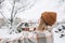 Young cheerful woman tosses a handful of snow up, having fun enjoying wintertime