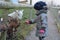 Young child feeding grass to pygmy African goats