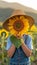 Young child peeking behind sunflower in vibrant summer field with space for text