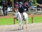 A Young Child Rides A Horse In The Germantown Charity Horse Show