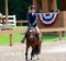 A Young Child Rides A Horse In The Germantown Charity Horse Show