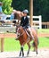 A Young Child Rides A Horse In The Germantown Charity Horse Show