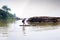 Young child sailing the raft to cross the river. Little boy using raft fastened by banana trees to float on the river