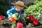 Young child watering the flowers in the garden