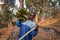 Young child works in the fields and has collected a bunch of banana plantains in africa, child labor concept